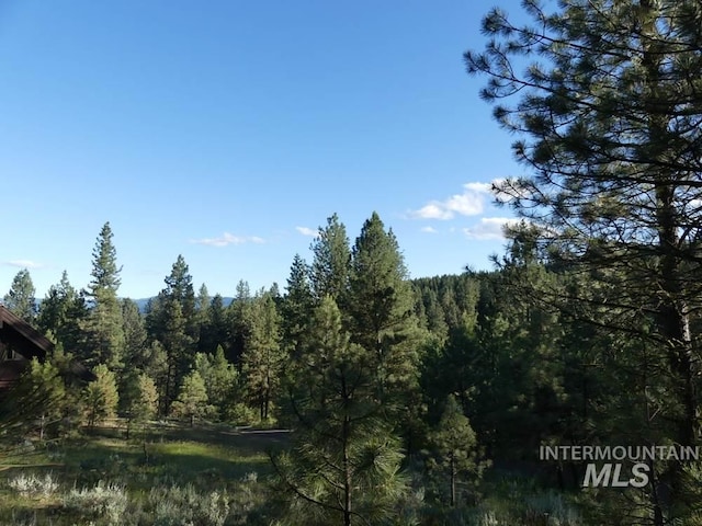 TBD Kimberland Dr, New Meadows ID, 83654 land for sale