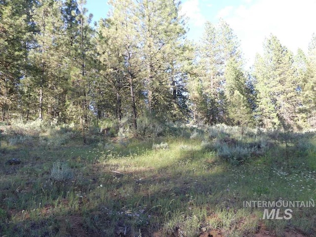 Listing photo 3 for TBD Kimberland Dr, New Meadows ID 83654