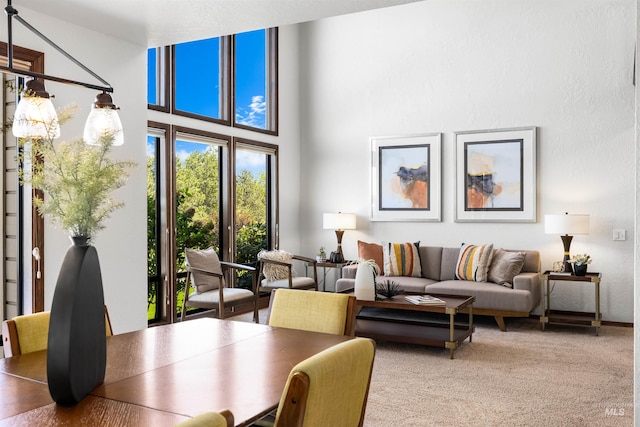 carpeted living room with a high ceiling
