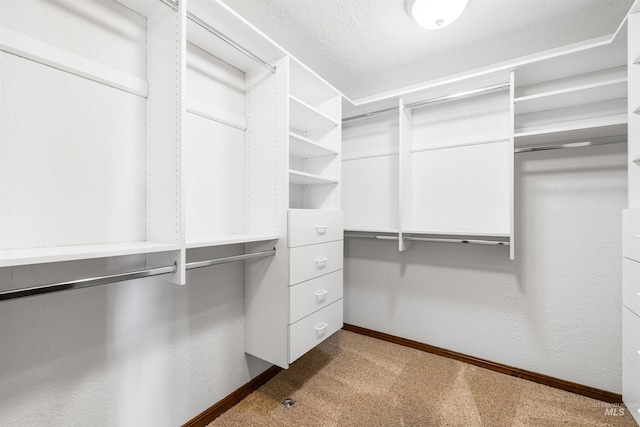 spacious closet with carpet