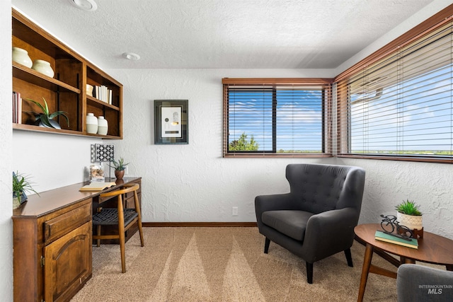 sitting room featuring a textured ceiling, light carpet, a desk, a textured wall, and baseboards