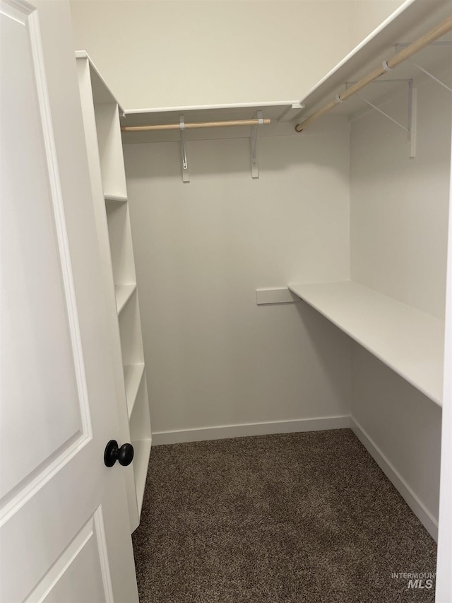 1207 Frank Henry Rd, Twin Falls, ID 83301 - spacious closet featuring carpet