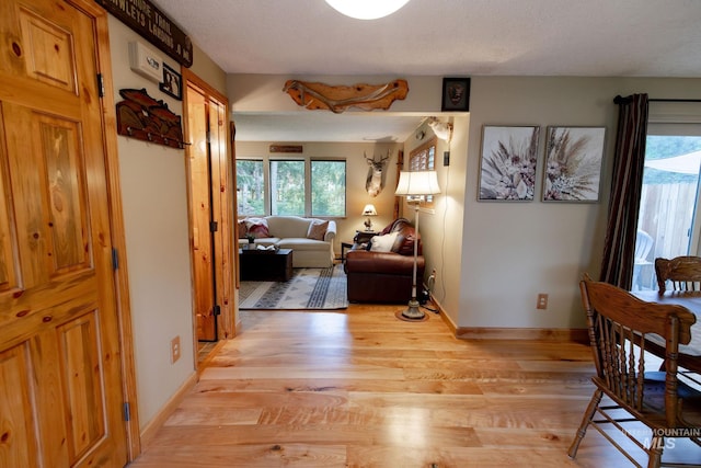 1955 E Parkside Dr, Boise, ID 83712 - hall with light wood finished floors, a textured ceiling, and baseboards