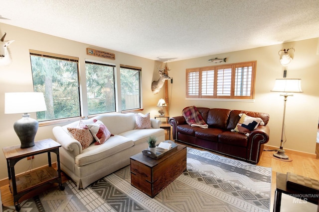 1955 E Parkside Dr, Boise, ID 83712 - living area with healthy amount of natural light, a textured ceiling, baseboards, and light wood-type flooring