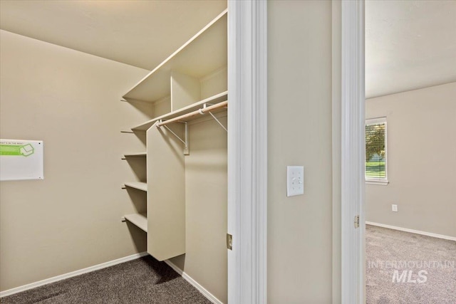 walk in closet featuring carpet