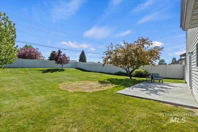 view of yard with a patio