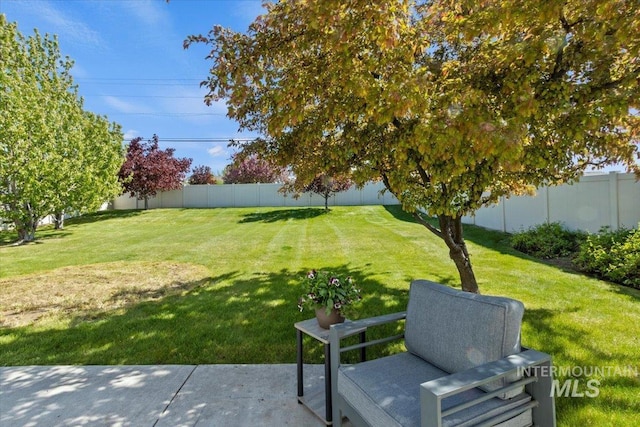 view of yard with a patio area