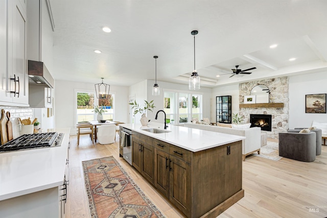 kitchen with light wood-style flooring, a fireplace, appliances with stainless steel finishes, and a sink