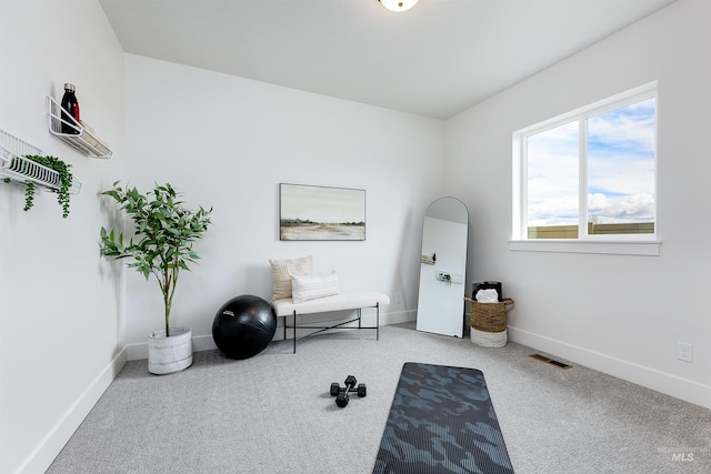 workout area with visible vents, carpet floors, and baseboards