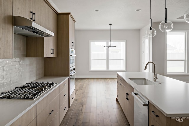 4364 N Madden Way, Meridian, ID 83646 - kitchen with a sink, light countertops, under cabinet range hood, wood finished floors, and stainless steel appliances