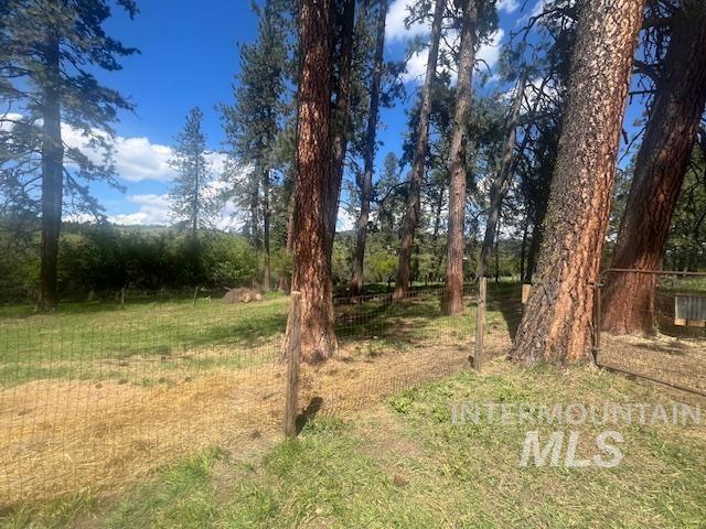 2070 Woodland Rd, Kamiah, ID 83536 - view of nature