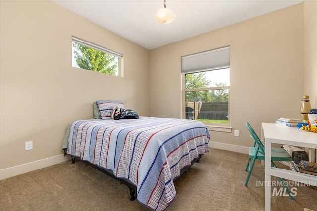 bedroom featuring multiple windows and carpet floors