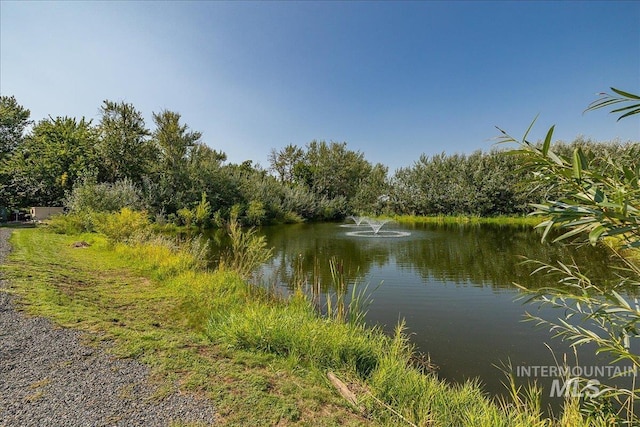 property view of water