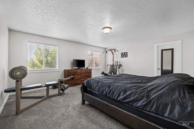 2145 W Quilceda, Kuna, ID 83634 - carpeted bedroom featuring a textured ceiling and baseboards