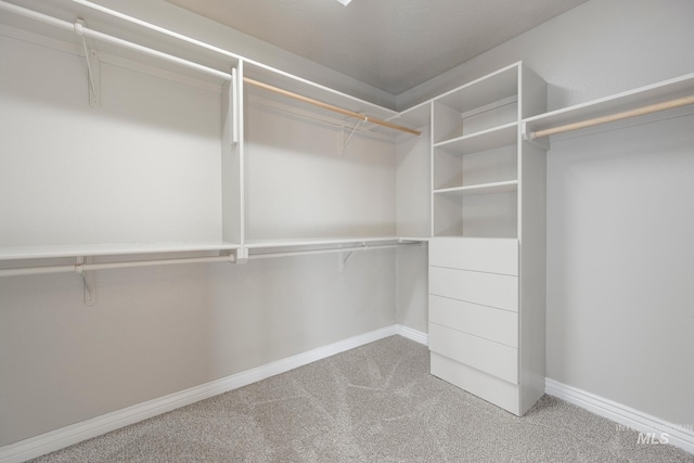 spacious closet with carpet flooring