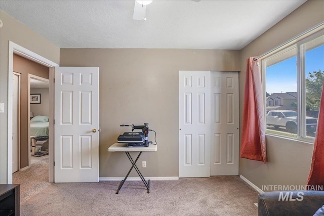 206 Diamond Dr, Kimberly, ID 83341 - office space with carpet and baseboards