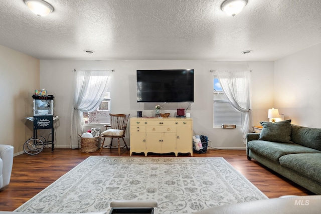 living room featuring dark wood-type flooring