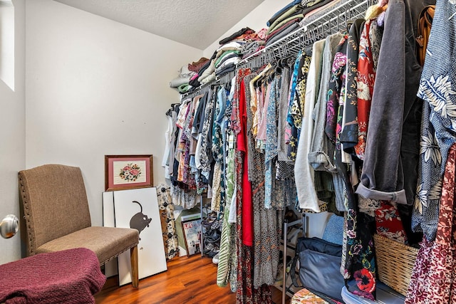 walk in closet with hardwood / wood-style flooring