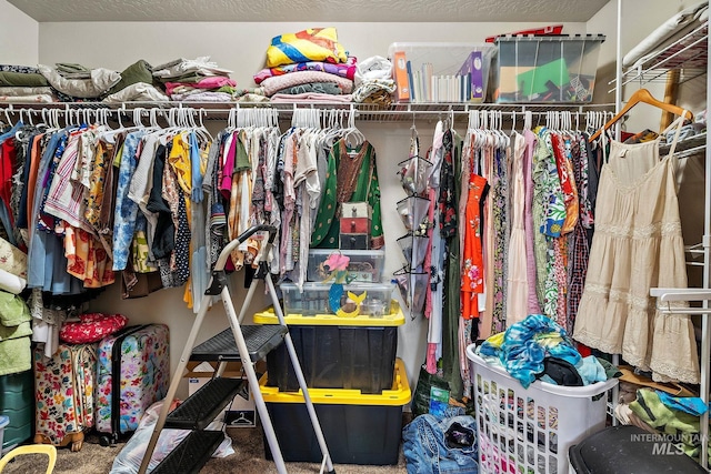 spacious closet featuring carpet floors