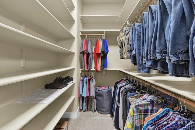 walk in closet featuring carpet and attic access