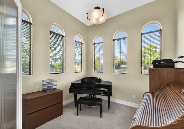living area featuring healthy amount of natural light, baseboards, and carpet flooring