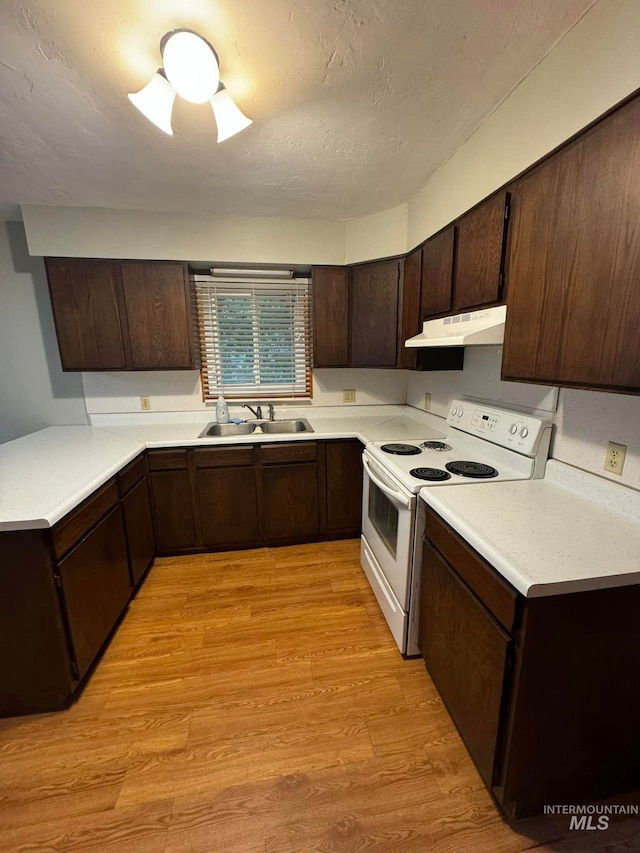 kitchen with dark brown cabinetry, white electric range, sink, and light wood-type flooring