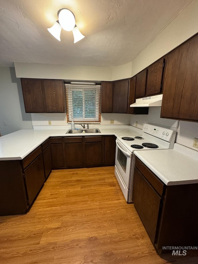 kitchen featuring sink, dark brown cabinets, light hardwood / wood-style floors, and white electric stove