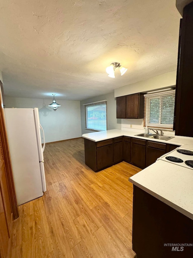 kitchen featuring white appliances, light hardwood / wood-style floors, and a wealth of natural light