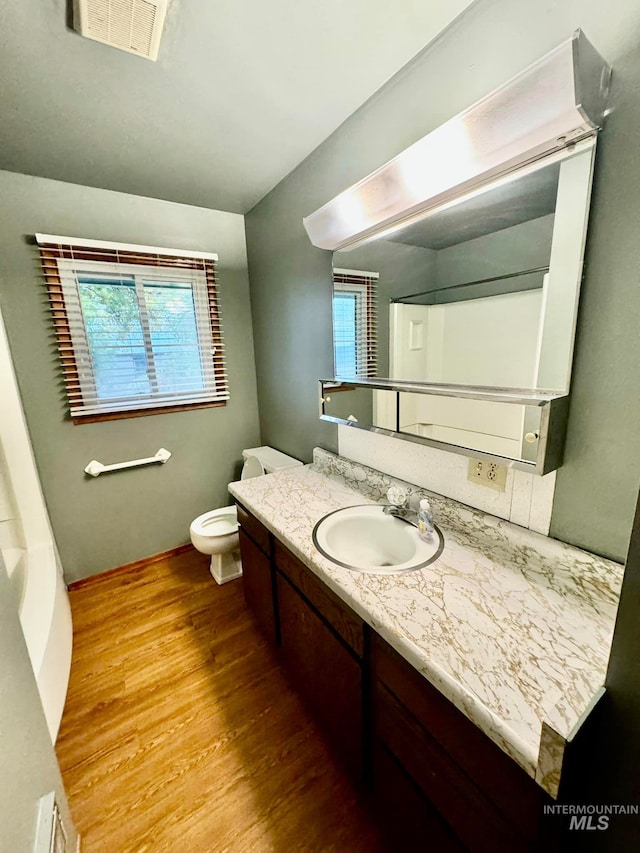 bathroom featuring vanity, toilet, and wood-type flooring