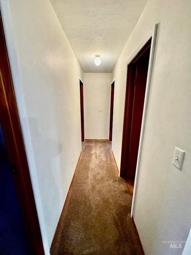 hallway featuring carpet floors