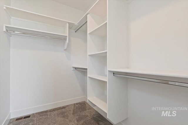 spacious closet with carpet floors and visible vents