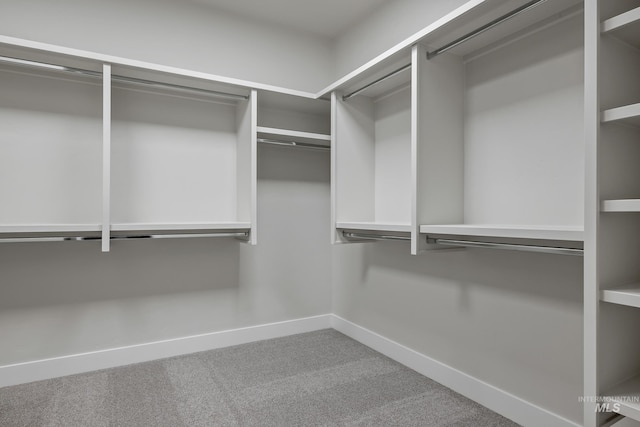 spacious closet featuring carpet floors