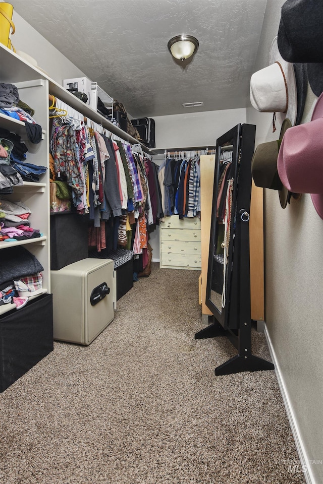 walk in closet featuring carpet floors