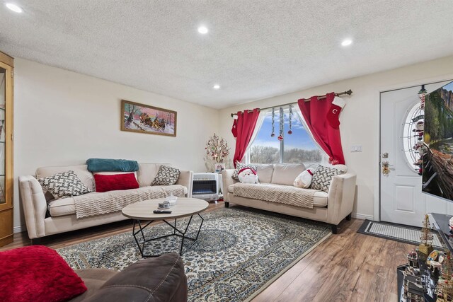 living room with wood-type flooring and a textured ceiling