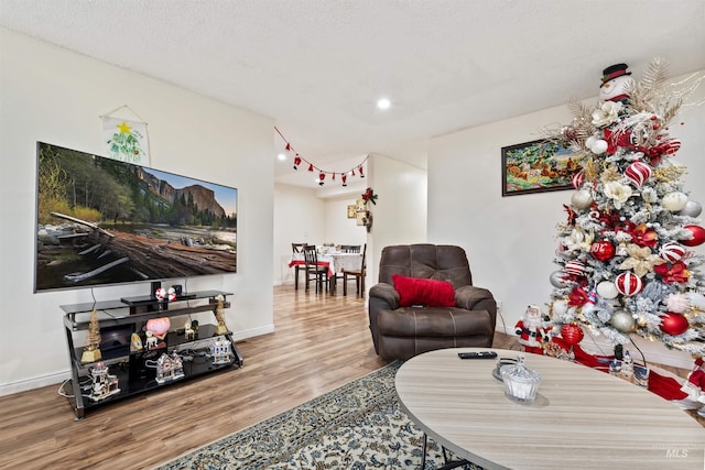 living room featuring a textured ceiling and hardwood / wood-style flooring