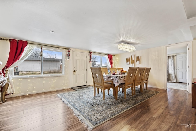 dining room with hardwood / wood-style floors