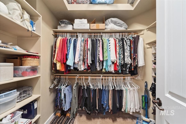 spacious closet with carpet flooring