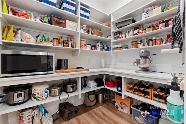 1889 W Winter Camp Ct, Boise, ID 83703 - view of pantry