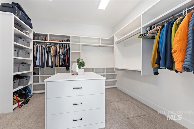 1889 W Winter Camp Ct, Boise, ID 83703 - spacious closet with carpet flooring