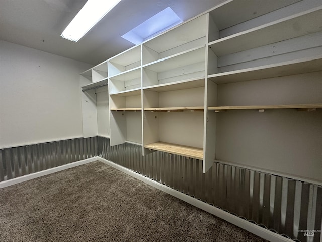 spacious closet featuring carpet floors