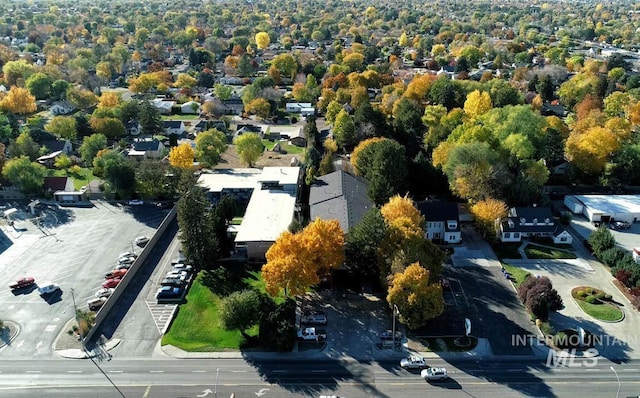 drone / aerial view