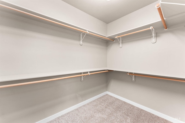 12457 W Awbrey St, Boise, ID 83709 - walk in closet with carpet floors