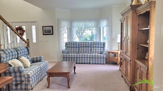 carpeted living room featuring crown molding