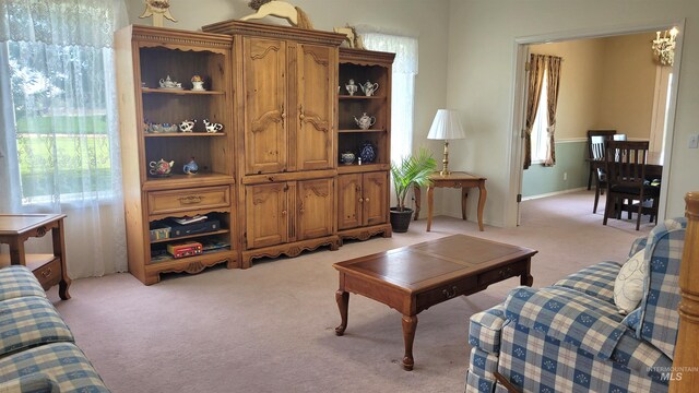 view of carpeted living room