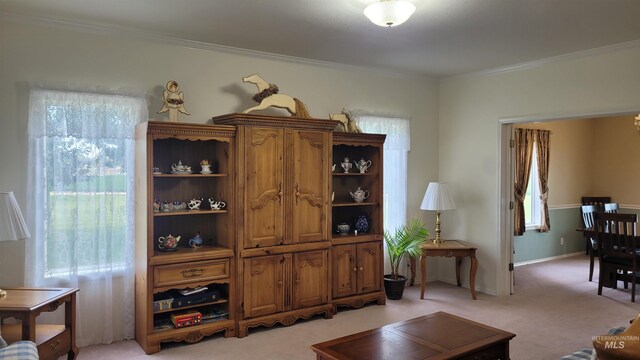 living room with light carpet and crown molding