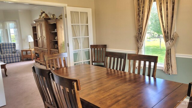 carpeted dining room with a healthy amount of sunlight