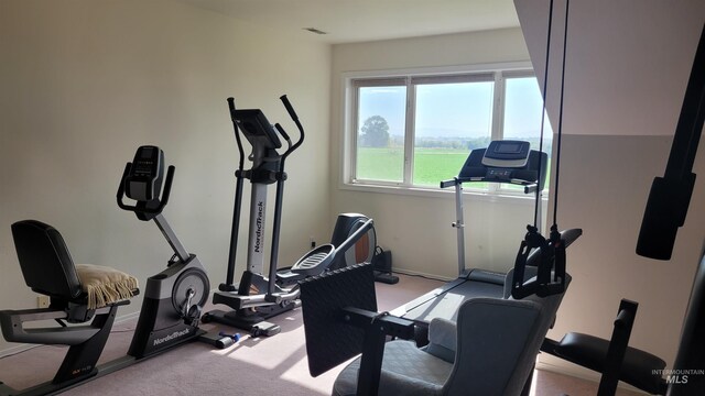 workout room featuring light colored carpet