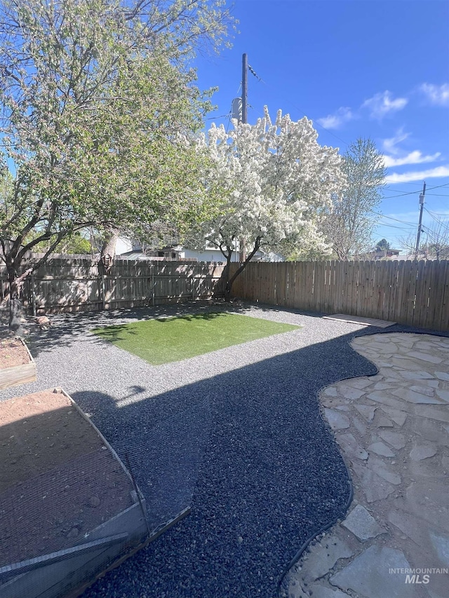 view of yard featuring a patio and a fenced backyard