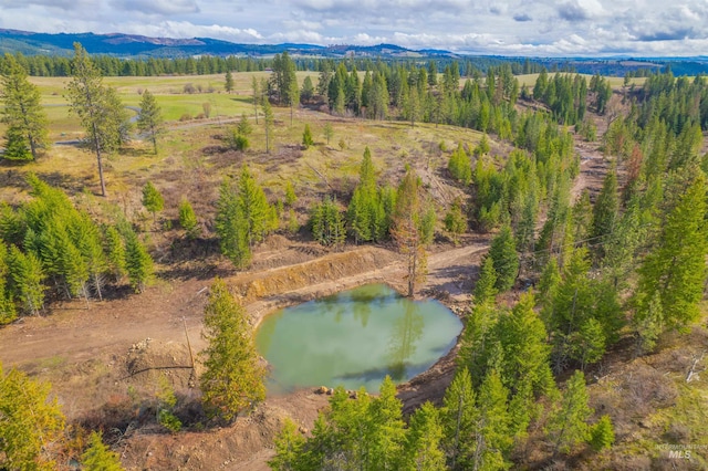 1400 Texas Ridge Rd, Deary, ID 83823 - birds eye view of property featuring a water and mountain view