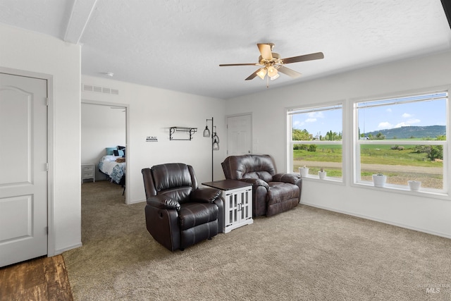 12798 King Rd, Kendrick, ID 83537 - living area with ceiling fan, light carpet, a textured ceiling, and baseboards